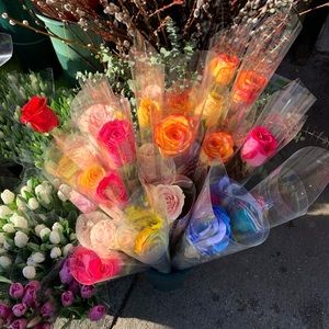 Meet your Posher, Alicia